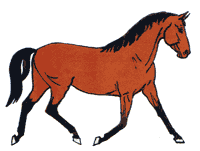 Лошадь гнедой масти