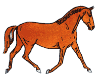 Лошадь рыжей масти