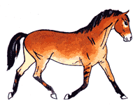 Лошадь саврастой масти