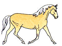 Лошадь соловой масти